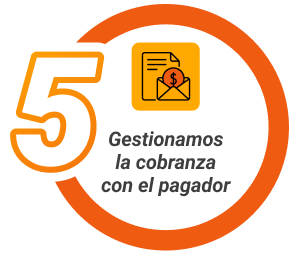 Paso 5
