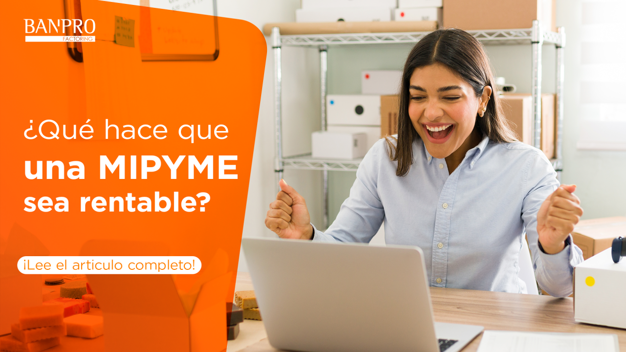 ¿Qué hace que una MIPYME sea rentable?